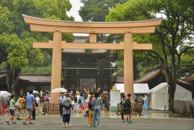 DSC_3294 (Large).JPG